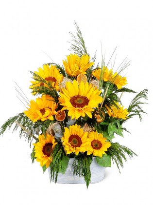 Sunflowers Feel Better