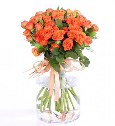 orange trellis rose